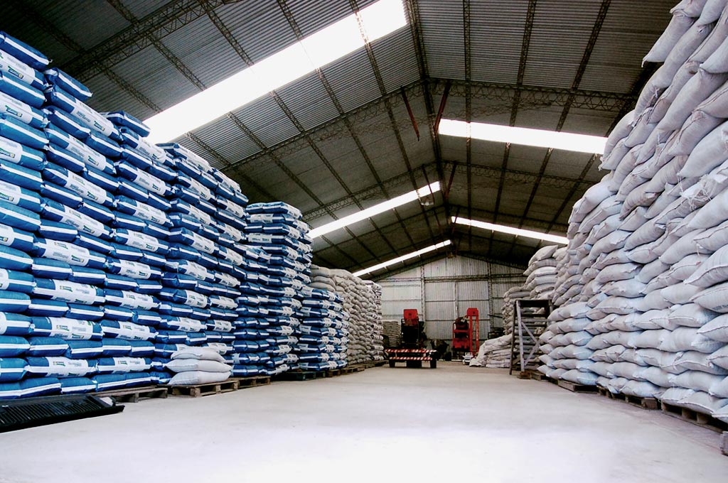 Acondicionamiento de Semillas